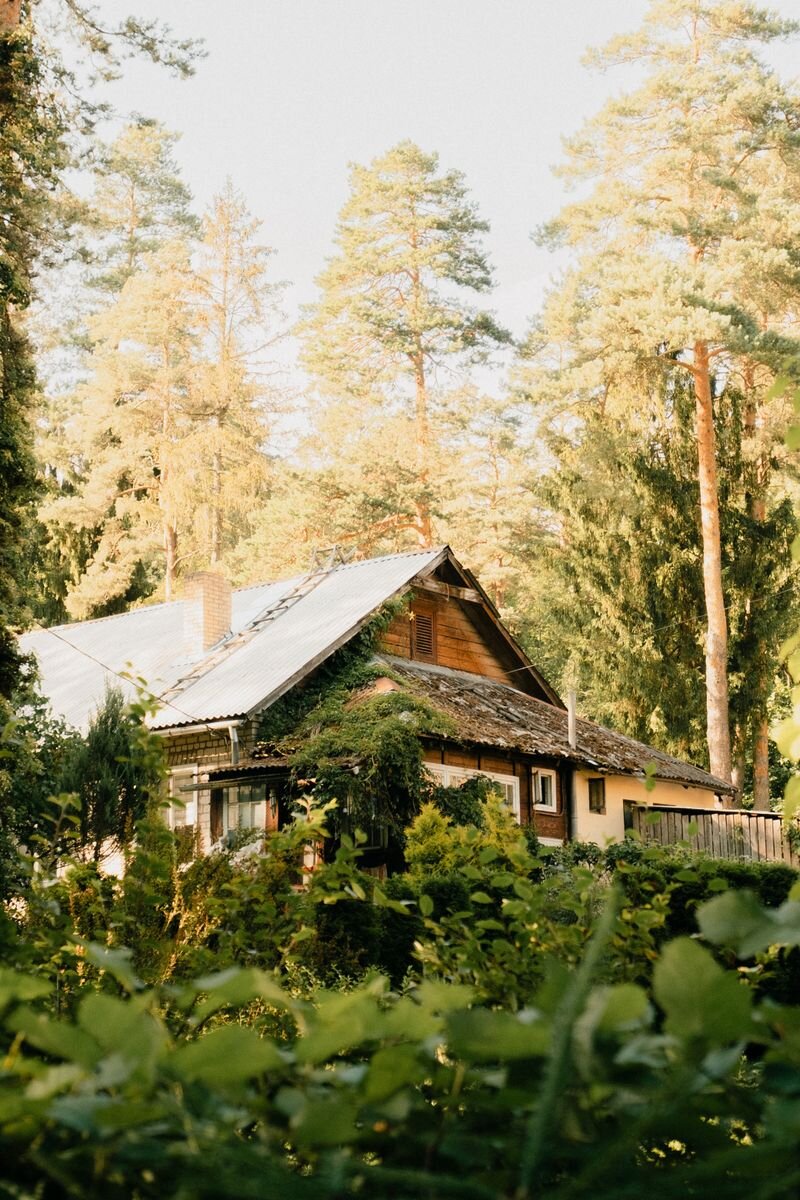 Wooden cottage surrounded by trees